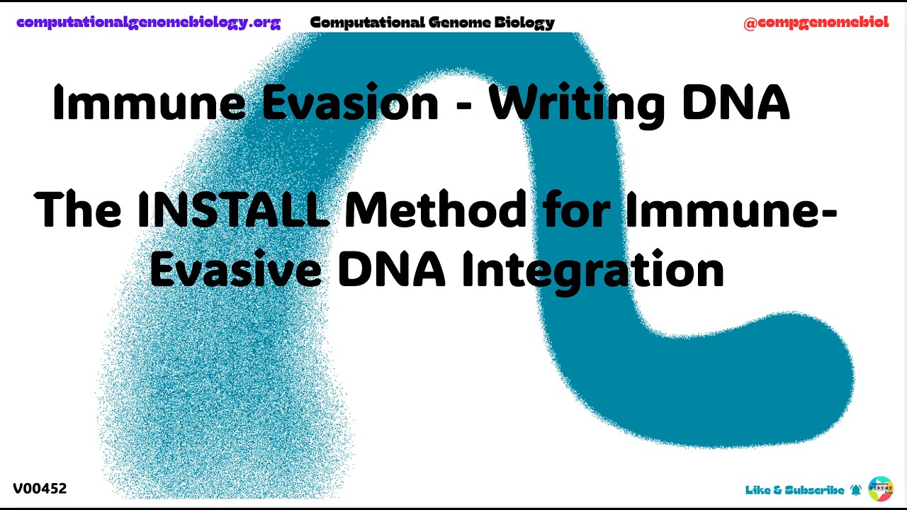 Immune Evasion - Writing DNA | The INSTALL Method for Immune-Evasive DNA Integration | V00452