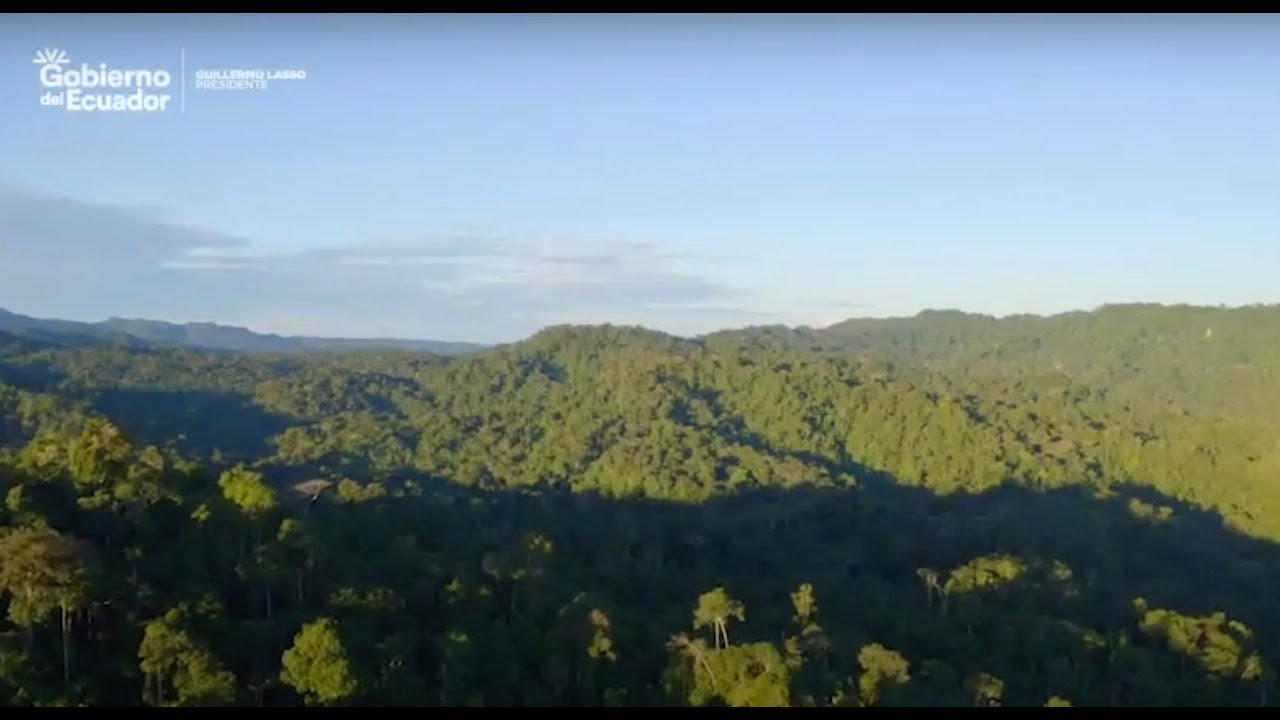 Restauración de Bosques en el Chocó Andino de Quito