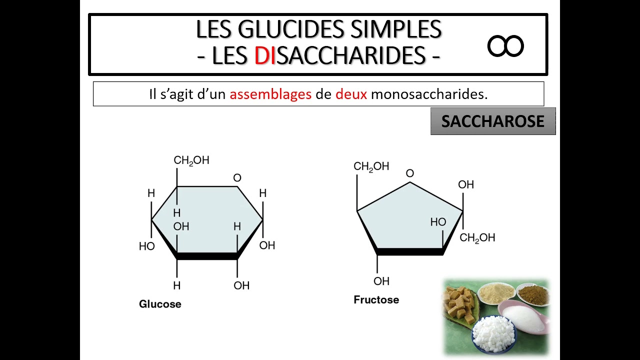 Les glucides simples et complexes