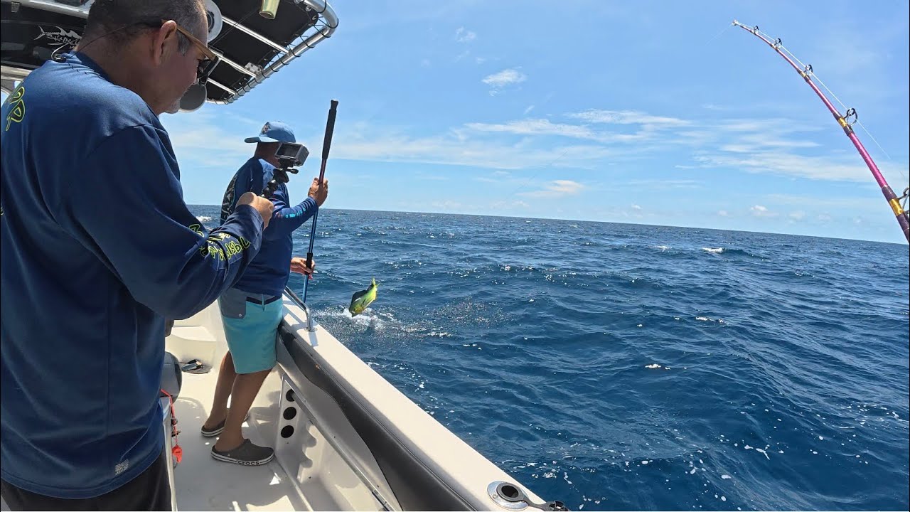 Chillos, Dorados y más! Día de pesca en Ponce, Puerto Rico!🇵🇷 