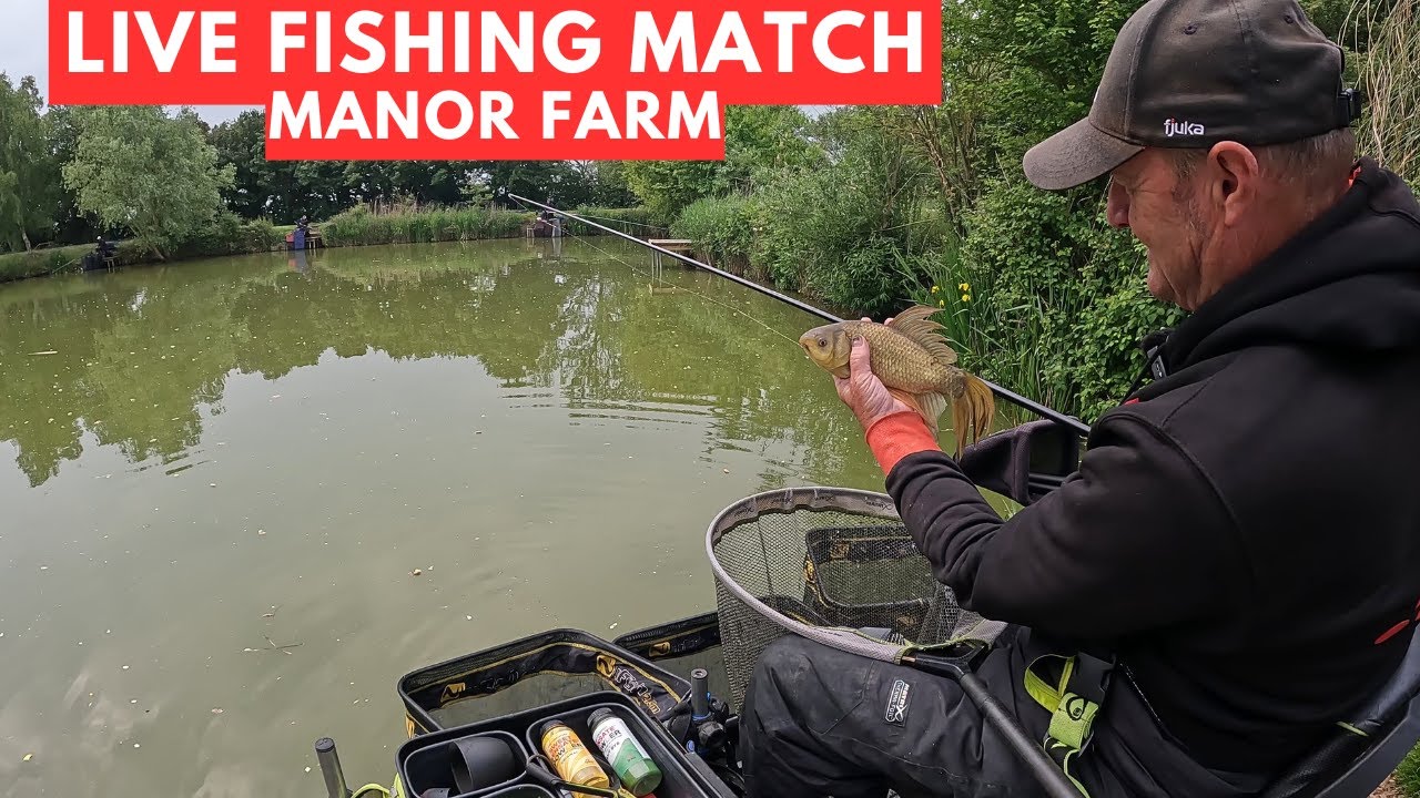 Live Fishing Match Manor Farm Swilland  IP6 9LB, #matchfishinguk