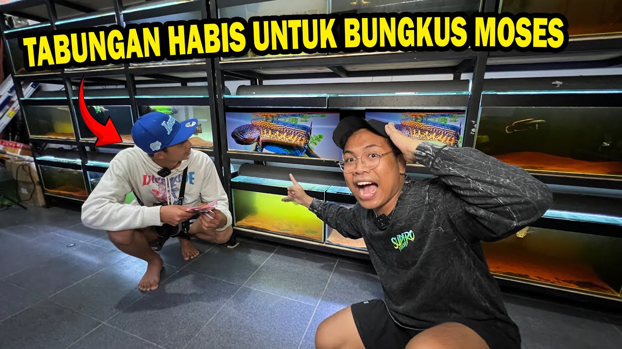 MALAM2 DIDATANGIN BOCAH SULTAN NIAT BUNGKUS AURANTI JUMBO MOSES???