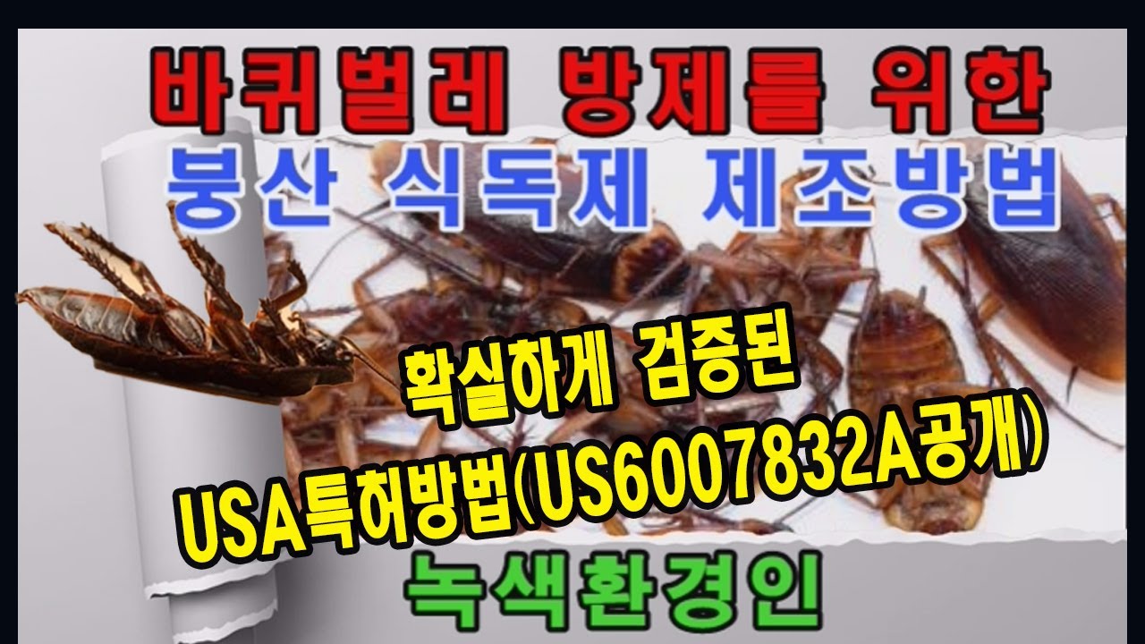 저독성 붕산가루를 사용한 바퀴벌레 식독제 제조 및 친환경 바퀴벌레 퇴치방법
