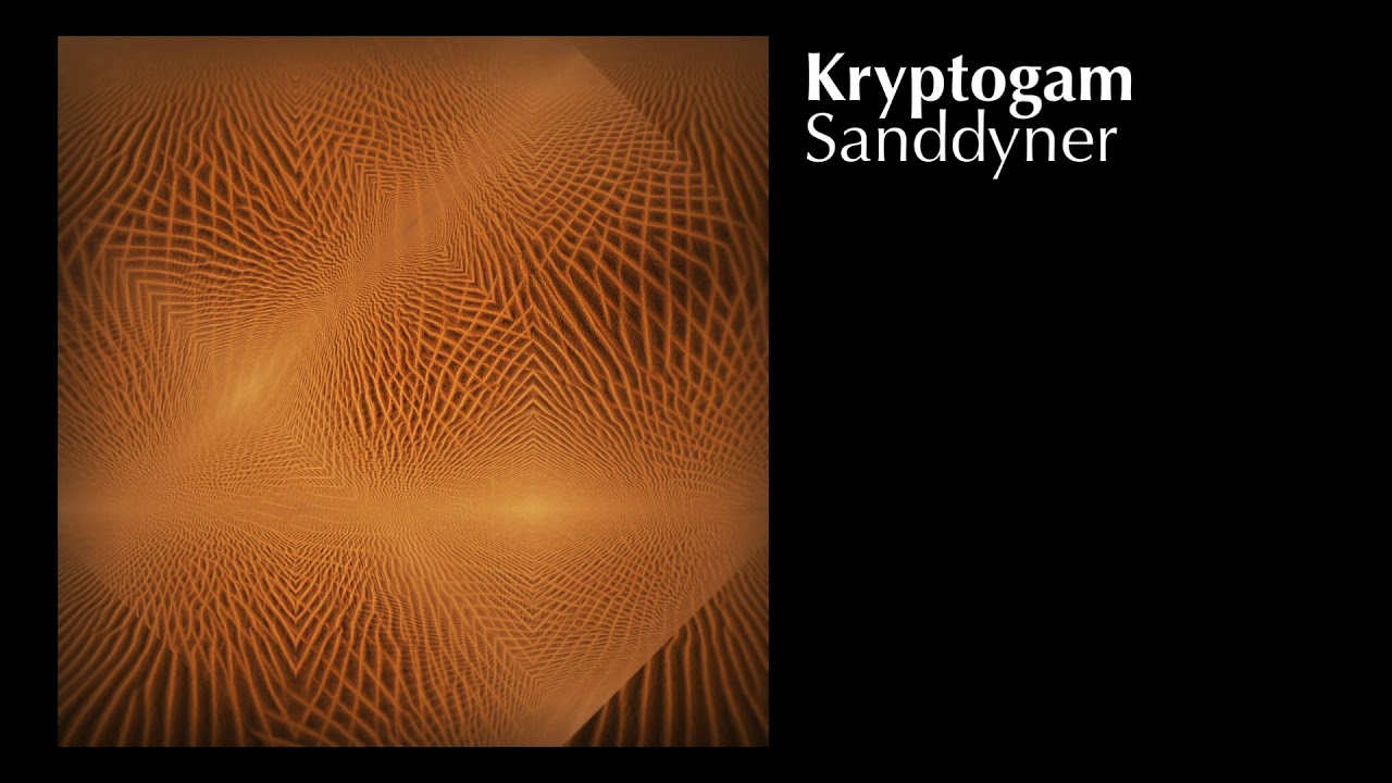 Kryptogam - Sanddyner
