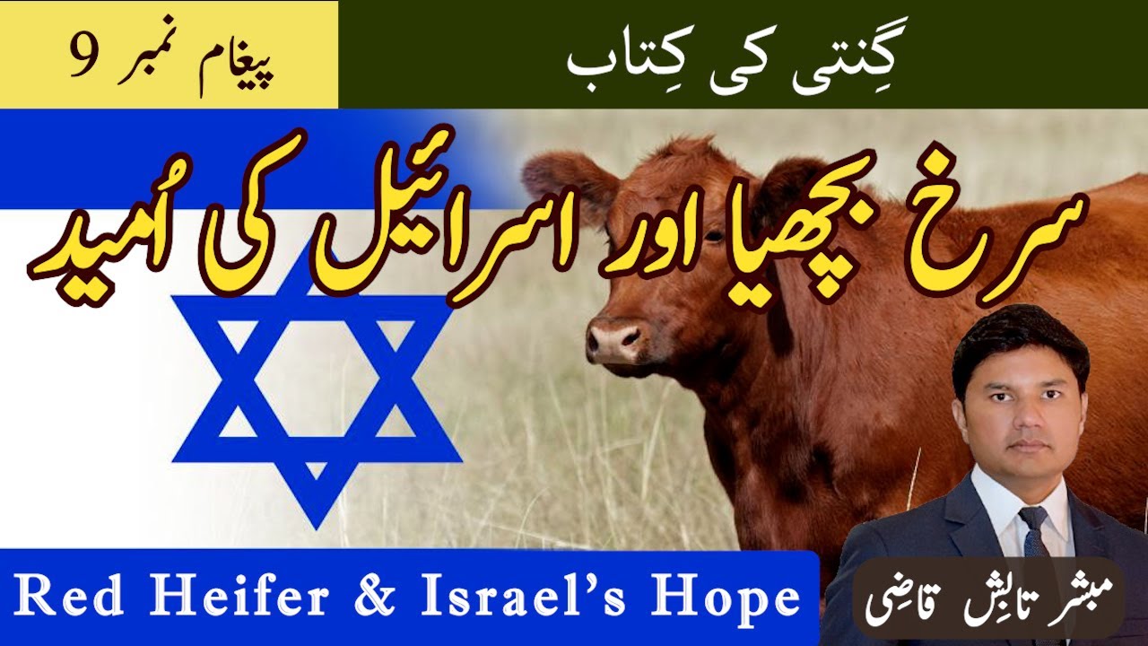 Red Heifer and Israel | سرخ بچھیا اور اسرائیل | Numbers Message 9 | Urdu/Hindi Sermon | Tabish Qazi