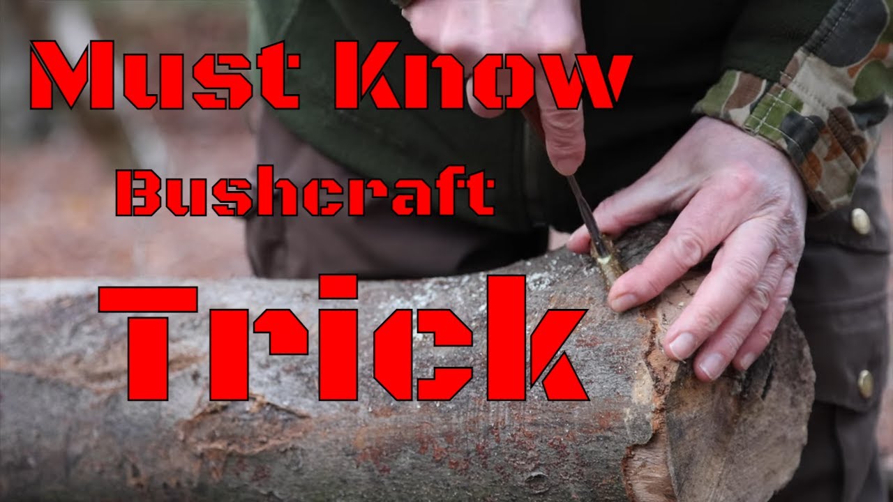 I can't believe I didn't know this Bushcraft Trick