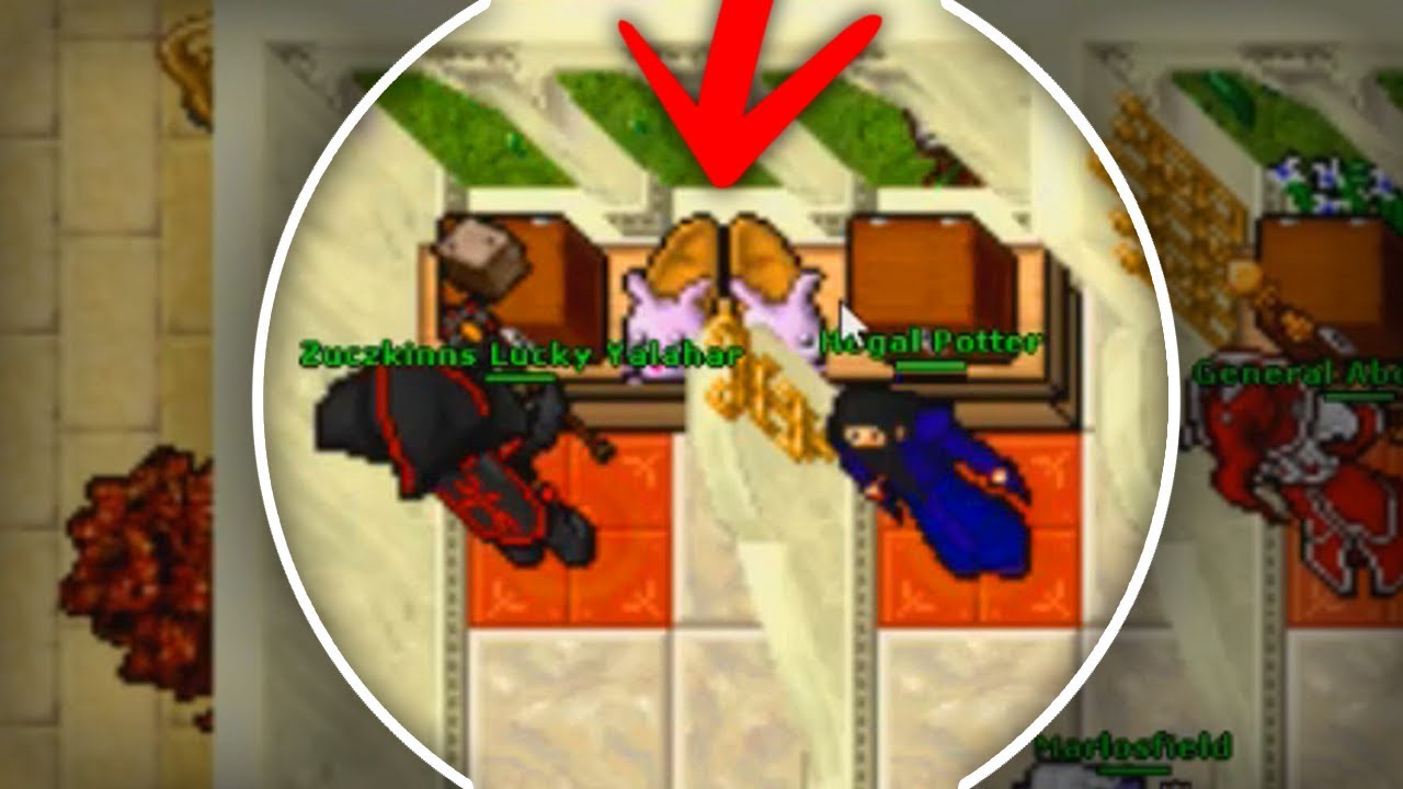 Tibia | ¿Qué les paso a mis Bunnyslippers🐇🐇? - Hegal