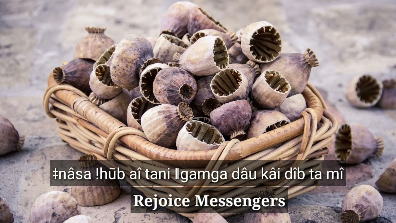 ǂnâsa !hūb aî tani ǁgamga dâu kâi dîb ta mî