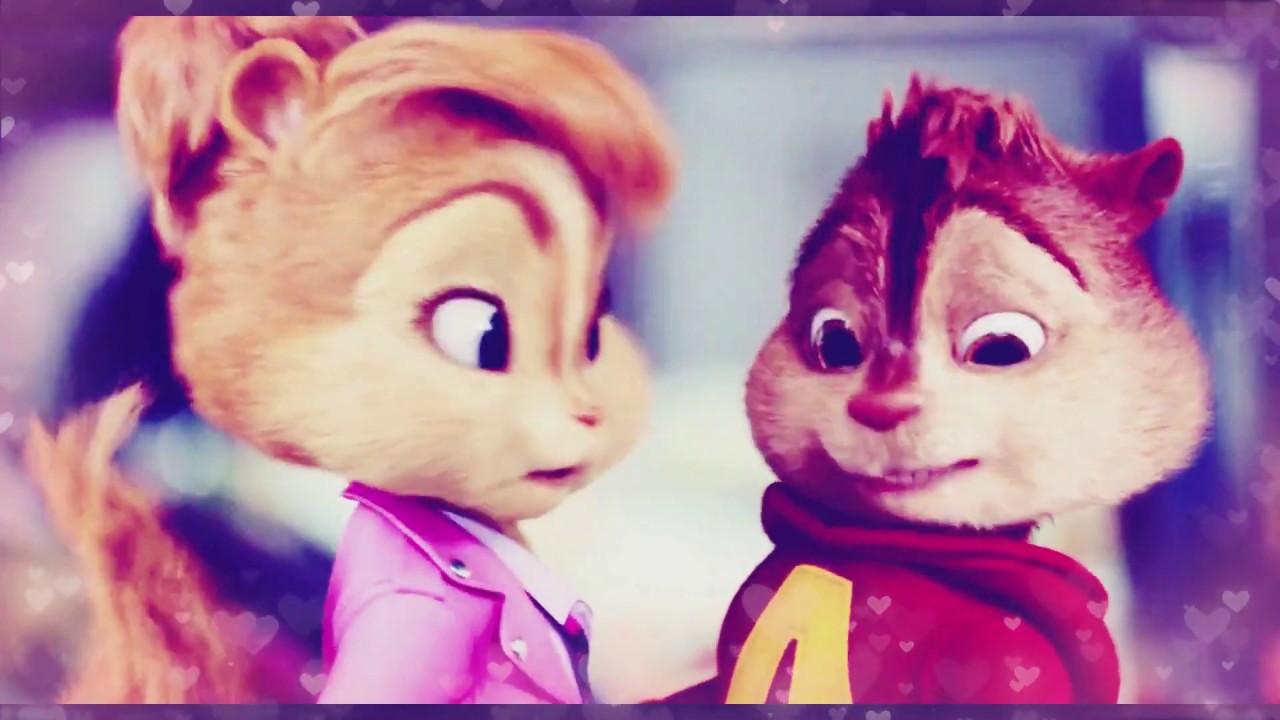 chipettes dear future husband