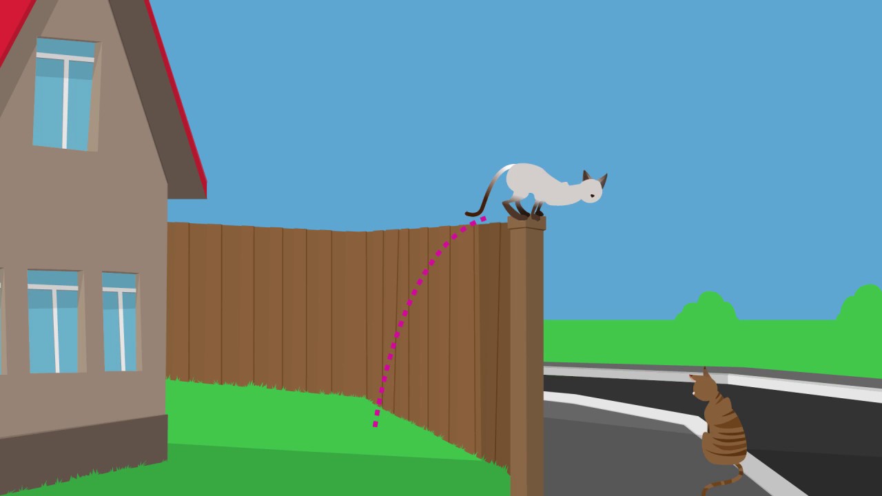 Cat Proof Fence | SmartCats StayHome