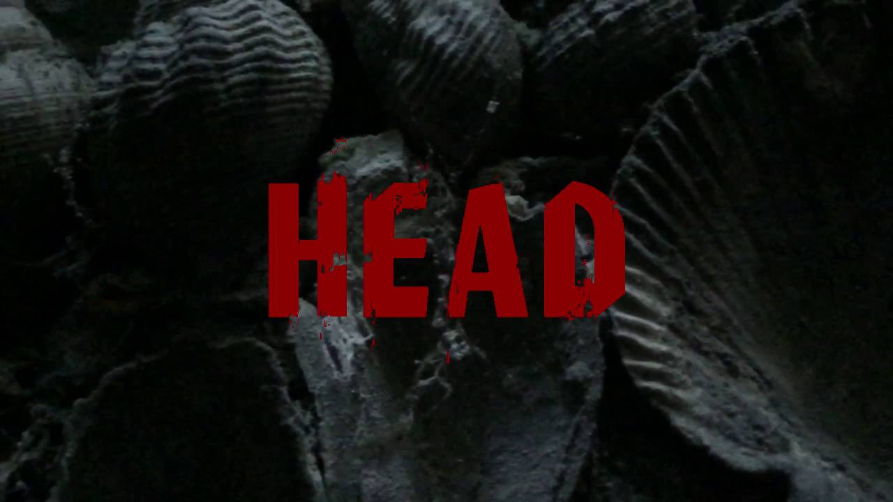 Prof. Winkler - In your head OFFICIAL VIDEO