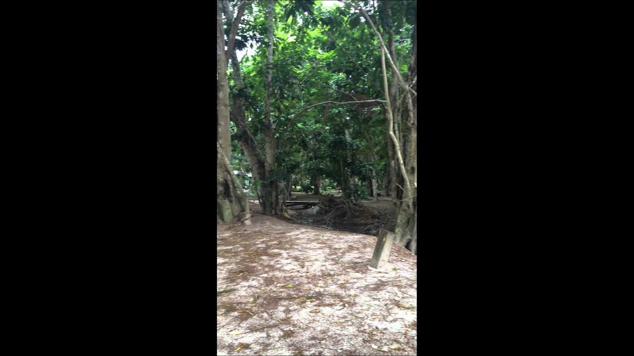 Overbridge Resort Suriname