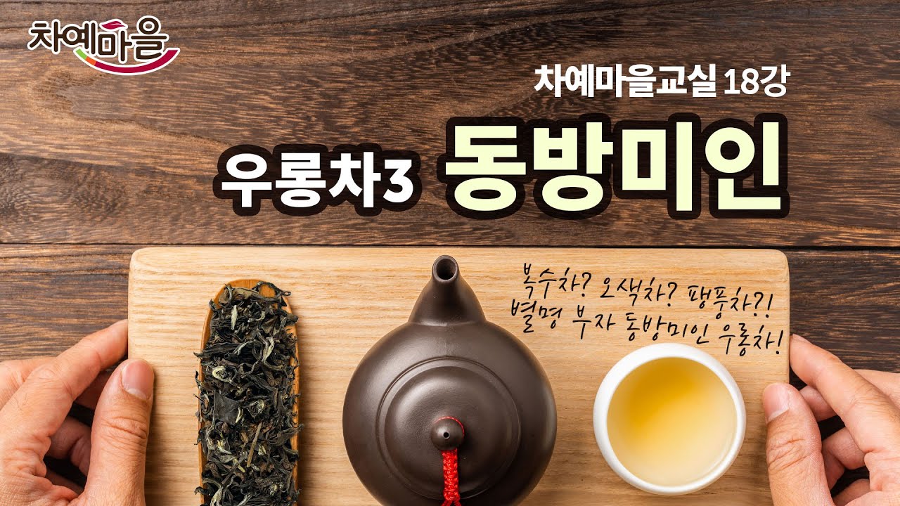동방미인 우롱차는 왜 '동방미인'으로 불려졌을까? 탄생 과정과 우리는 법 등 ｜ 차예마을교실 제 18강