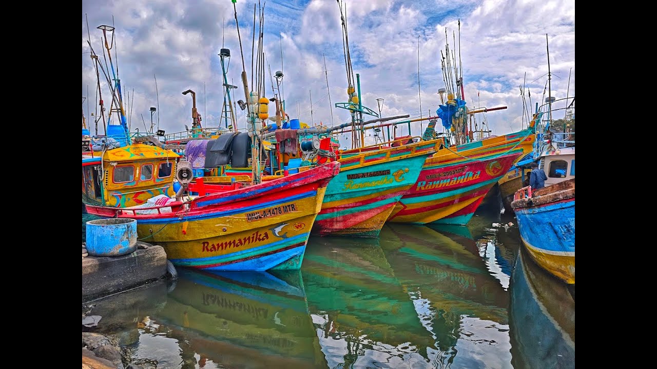 Praca w przystani rybackiej na Sri Lance  Mirissa Fisheries Harbour