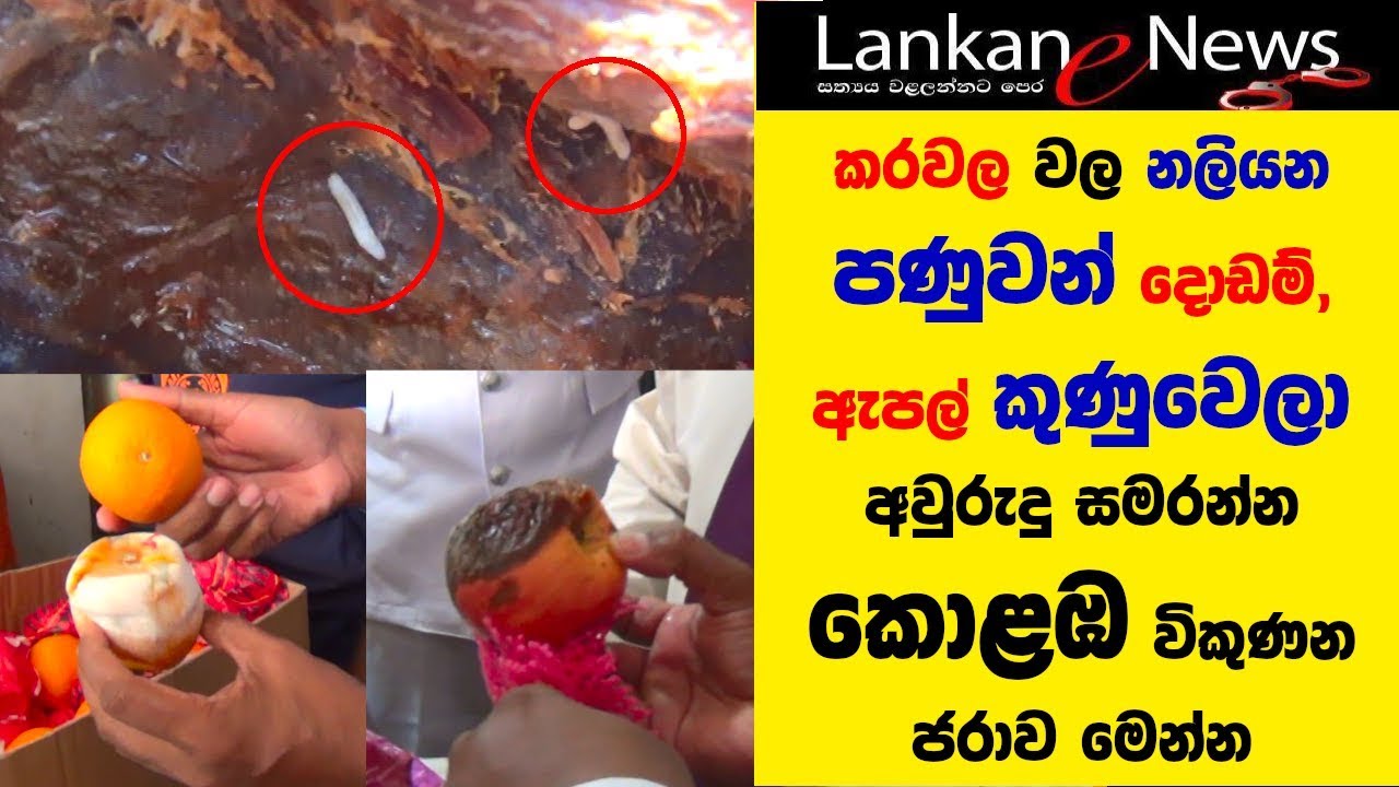 Colombo Food special raids - කරවල වල නලියන පණුවන් දොඩම්, ඇපල් කුණුවෙලා කොළඹ විකුණන ජරාව මෙන්න