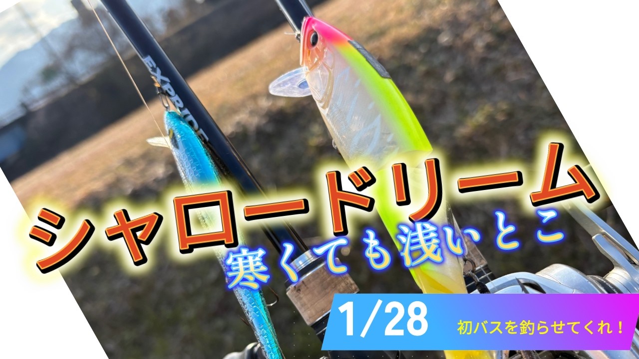 【シャロードリーム】そろそろ浅いところを攻めて行こうか！