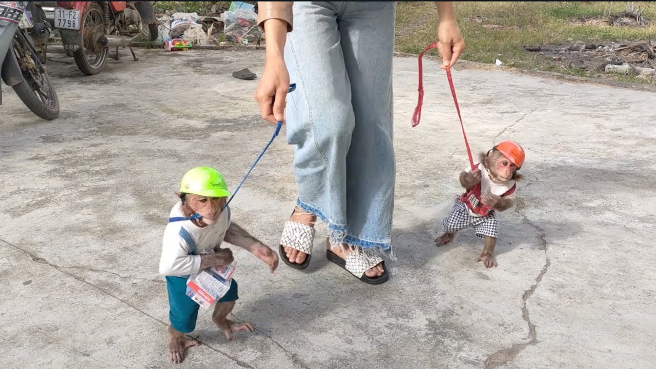 Mimi Kuku goes to buy dewormer