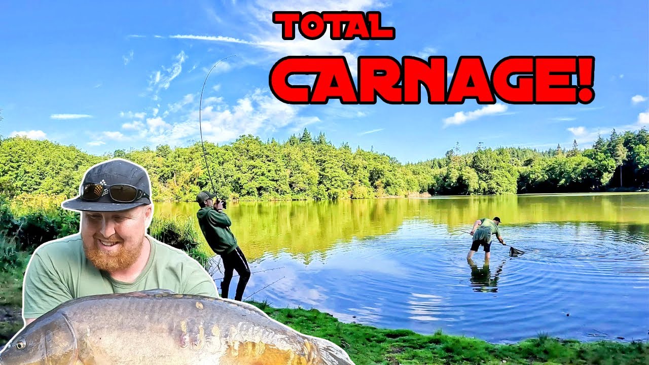 How Many Carp Can Be Caught In a Day?  Carp Fishing Madness At Shearwater Fishery!