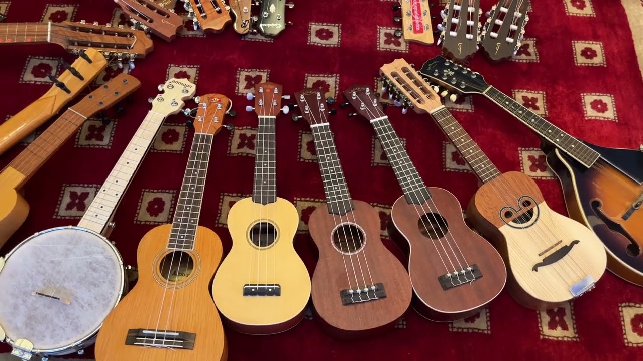 Small stringed instruments: Rajao, Cavaquinho, Timple, Ukulele Banjo, Guitalele, Charango, Mandoline