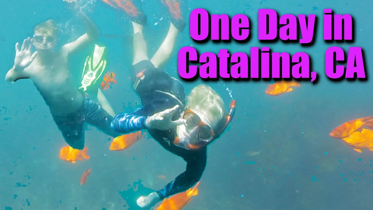 One Day In Catalina - Best Snorkeling in CA