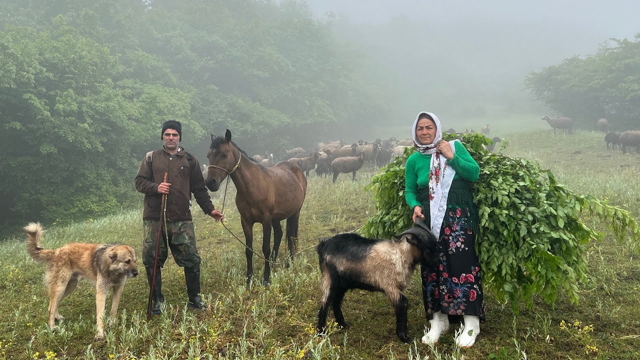 The Hardships of Nomadic life. Making a Place for Sheep in Heavy Rain