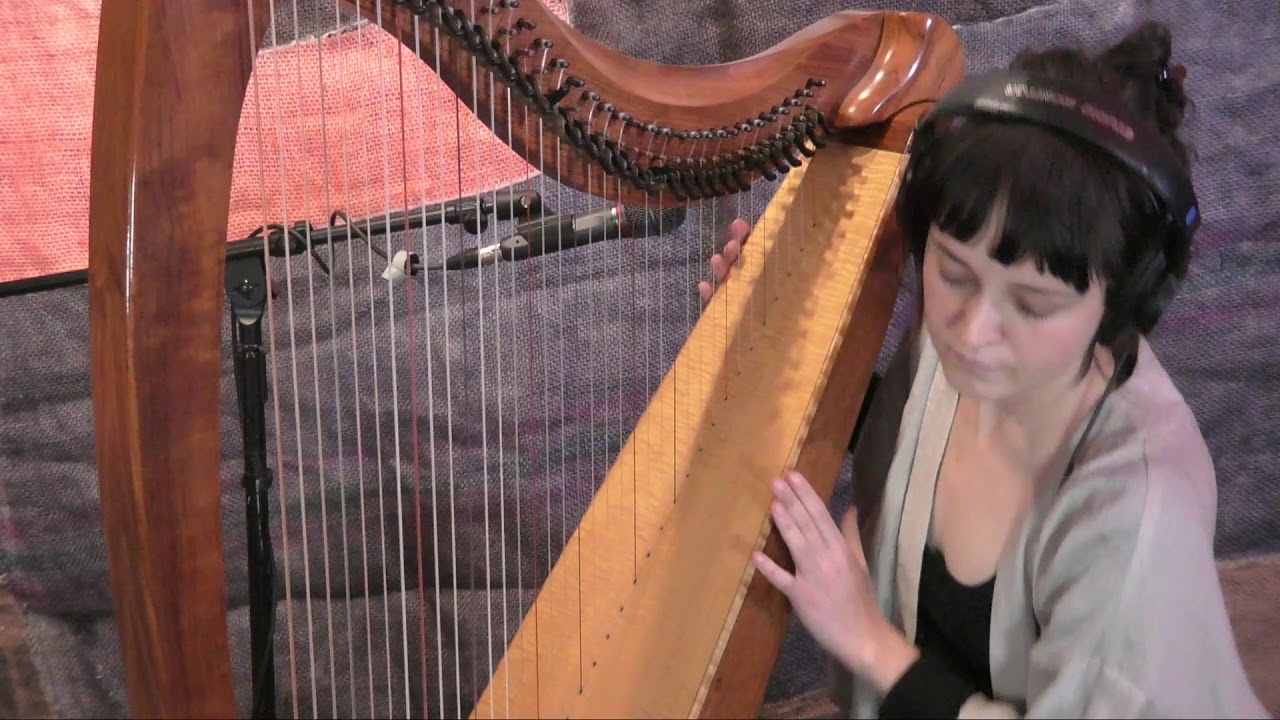 Dolphin Midwives - Full Session (Live on XRAY.fm)