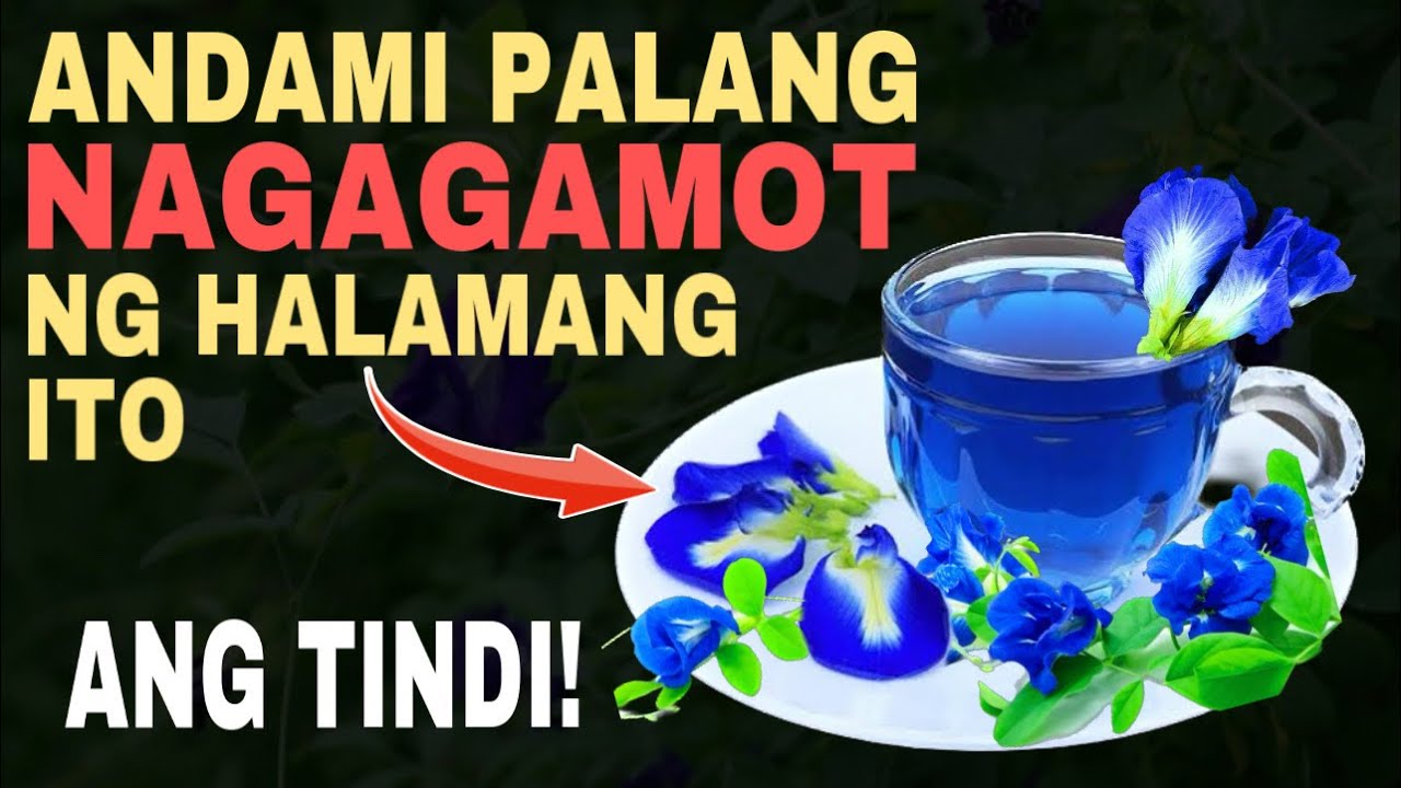 BAGO KA UMINOM NG BLUE TERNATE TEA, PANOORIN MO MUNA ITO!