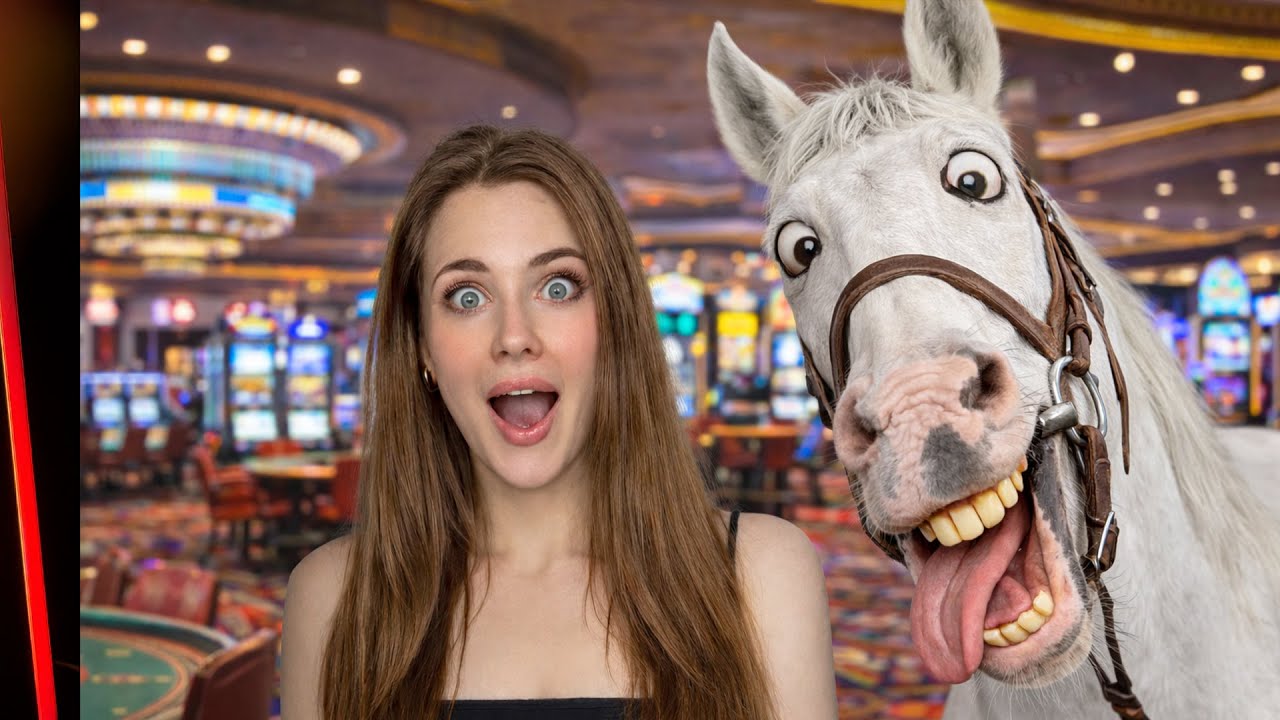 LIVE HORSEPLAY ACTION!! FEBRUARY 4TH 2026
