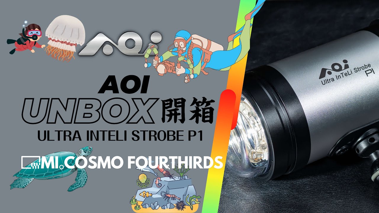 OM水底攝影神兵!! 閃光燈+LED video light，一支滿足你兩個願望!! 