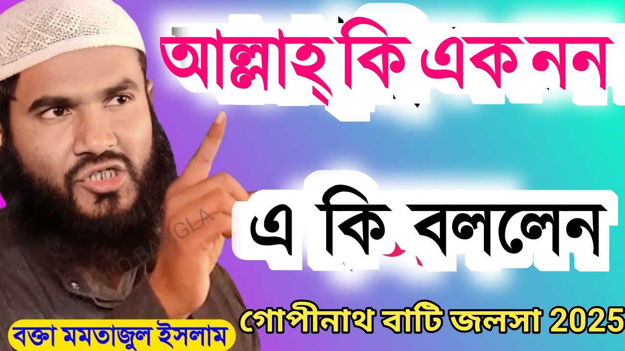 মমতাজুল ইসলাম ওয়াজ। আল্লাহ কি এক নন। বক্তা কি বললেন। Momtajul Islam waz। গোপীনাথবাটি জলসা