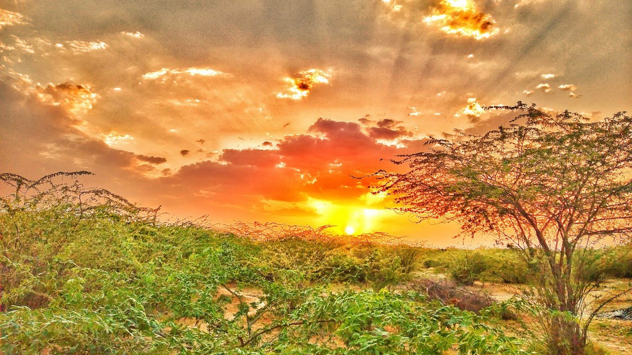 sunset status full screen | evening status for whatsapp full screen