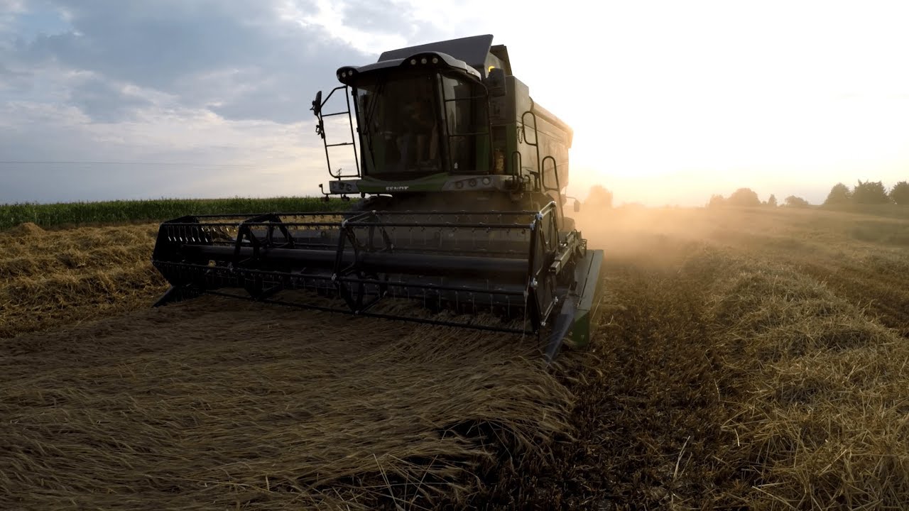 Żniwa 2019 ☆ FENDT 5255L ☆ CASE PUMA 150