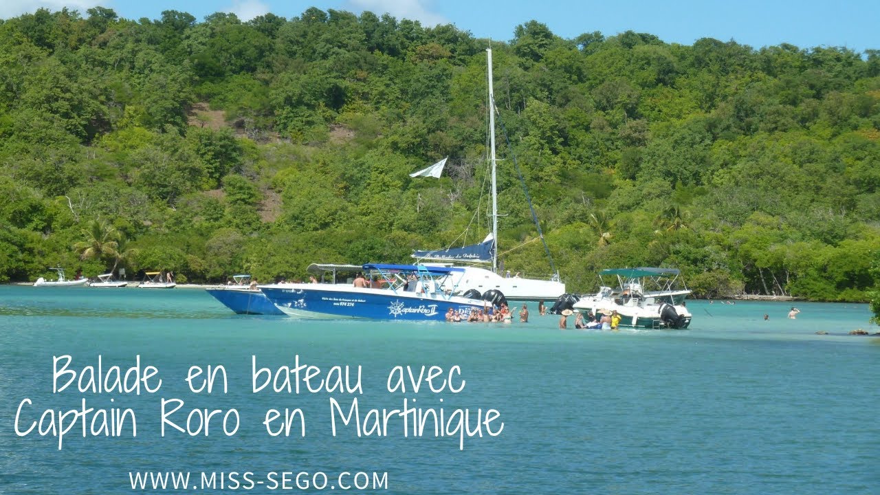 Balade avec Captain Roro - les &icirc;lets du Robert et du Fran&ccedil;ois, Martinique