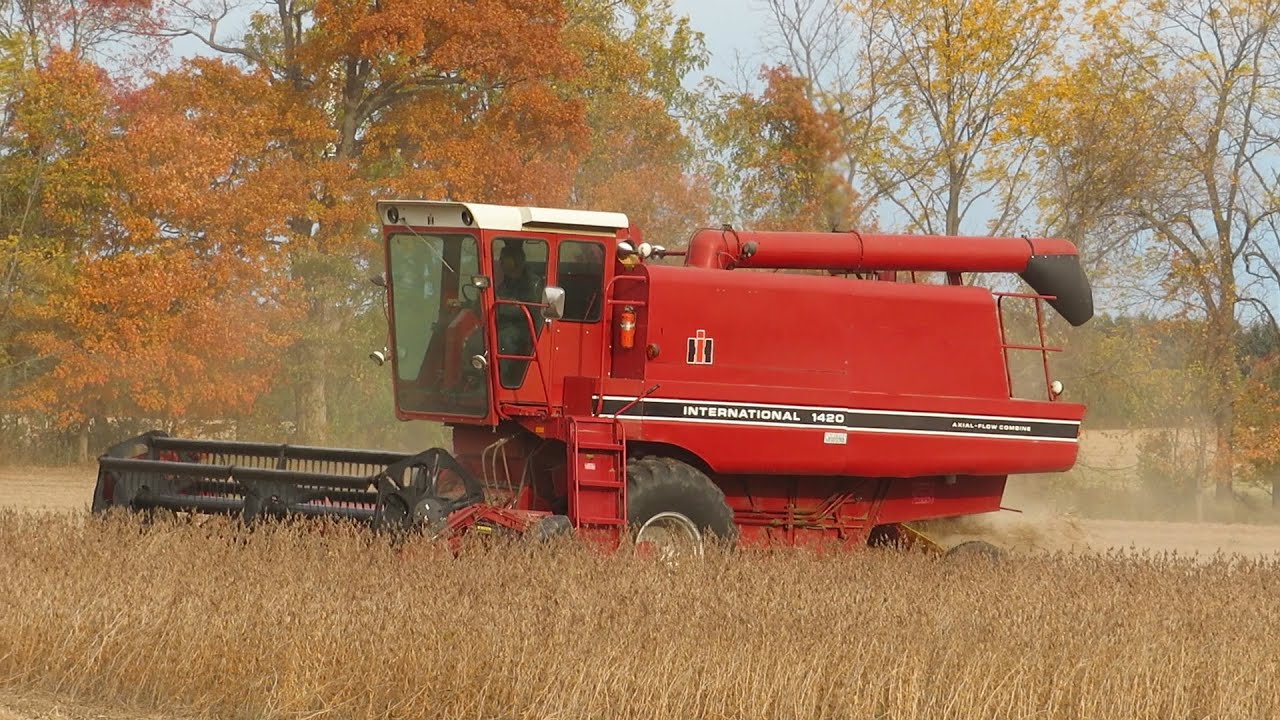 Soybean Harvest 2020 | International 1420 Combine Harvesting Soybeans | Ontario, Canada