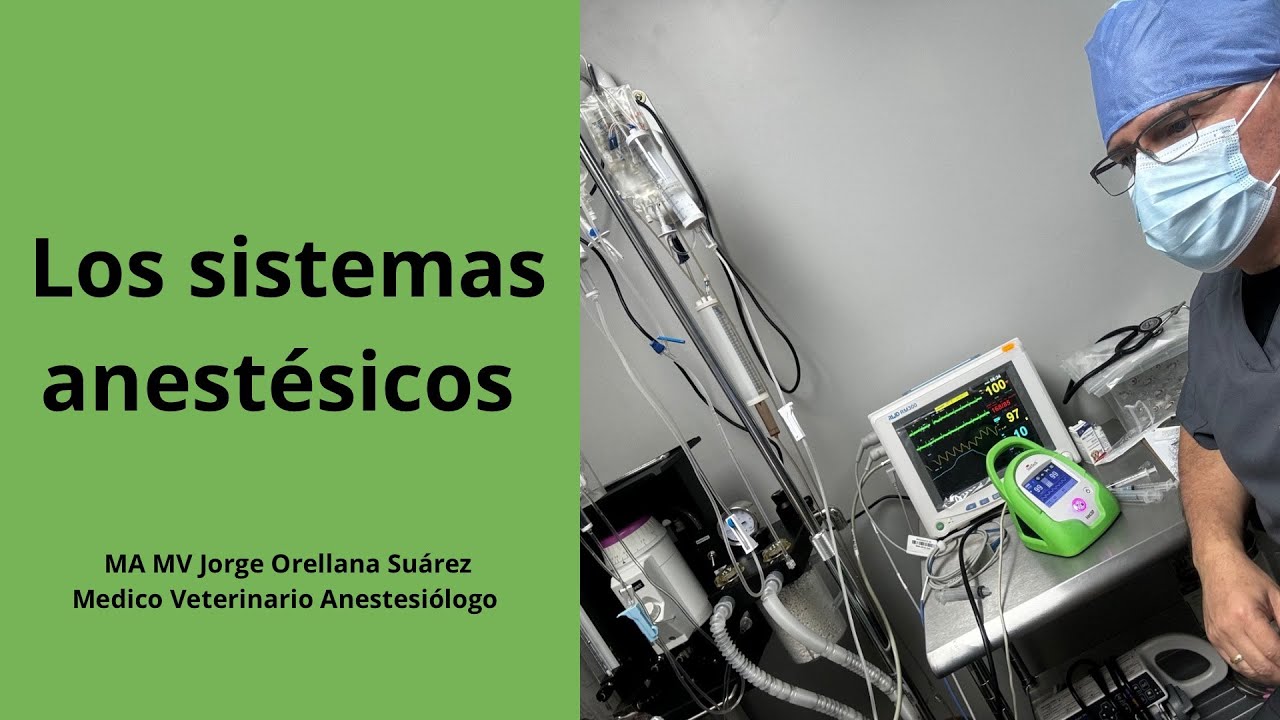 Los sistemas anestésicos en perros y gatos