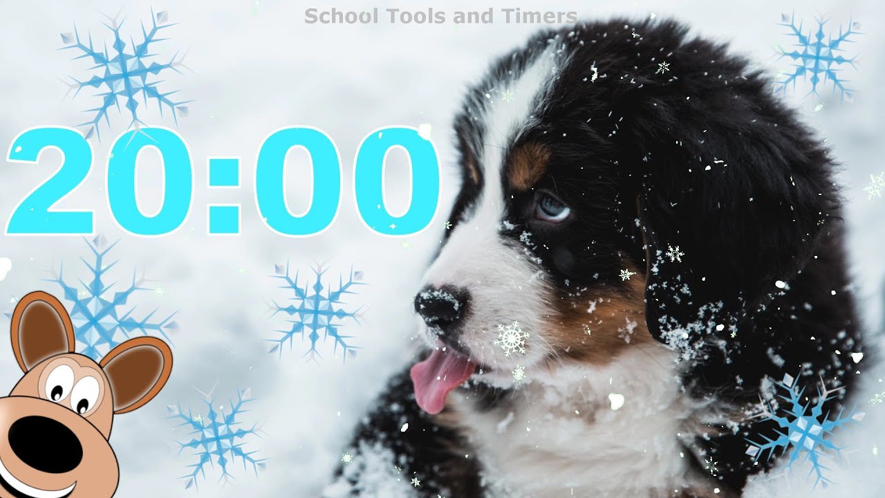 20 Minute ❄️Winter Snow 🐶 Puppy Dog Countdown Timer
