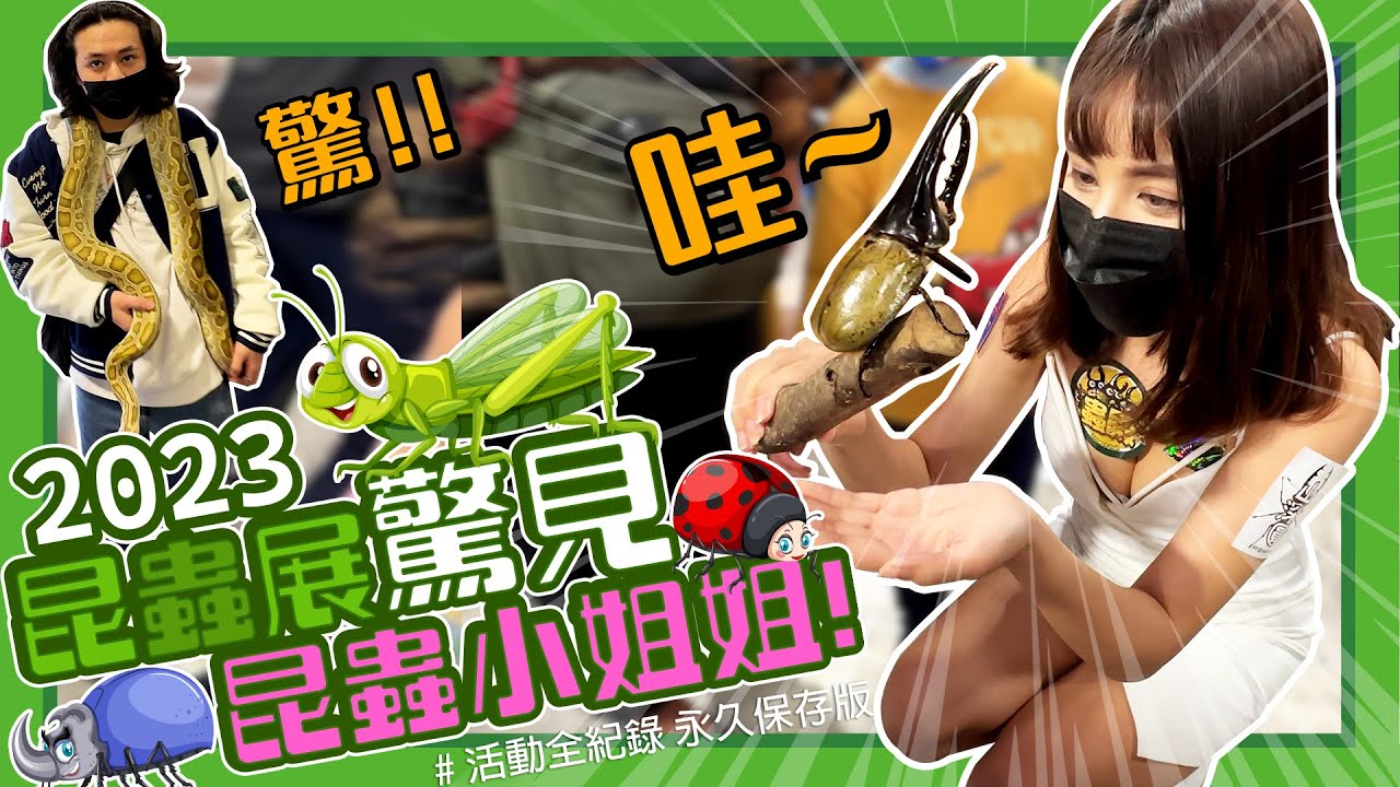 4k【🔥哇！昆蟲展，驚見昆蟲小姐姐！】🐞2023台灣國際昆蟲博覽會『全紀錄』！【美術B段班 Art B Class】