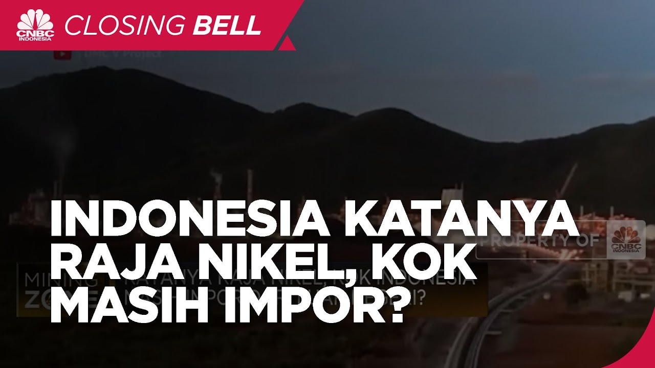 Jadi Raja Nikel Tapi Indonesia Impor Bijih Nikel, Kok Bisa?