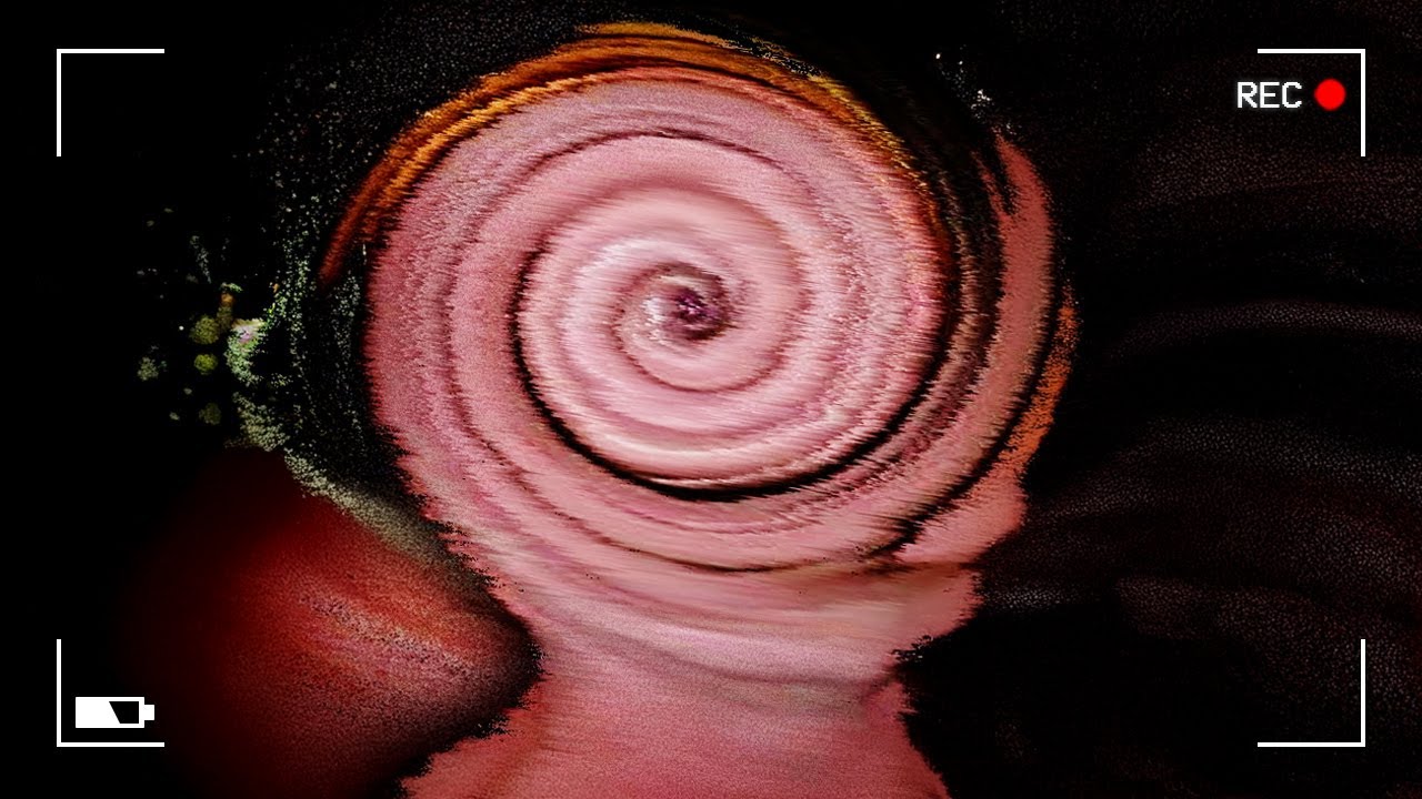 El Usuario Más ASQUEROSO de Internet | Caso Mr. Swirl