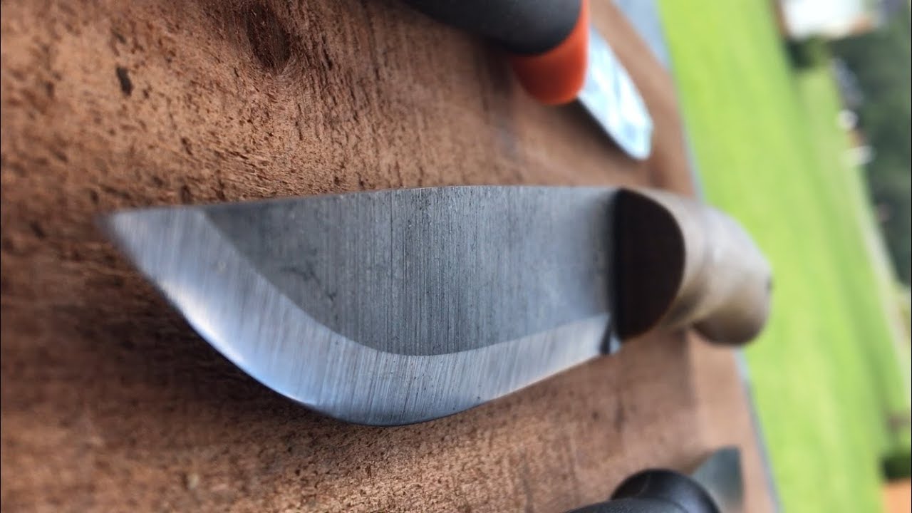 DIRTY BY DESIGN Scorpion  (companion / garberg / scorpion)