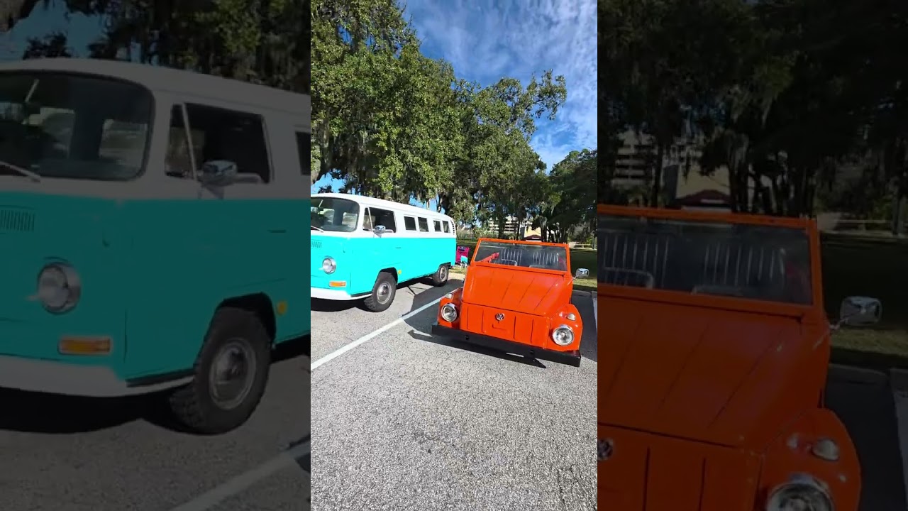 Henry's Food depot Sanford VW show 