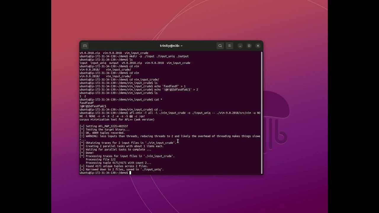 Fuzzing with AFL++ | Step-2 Refining inputs
