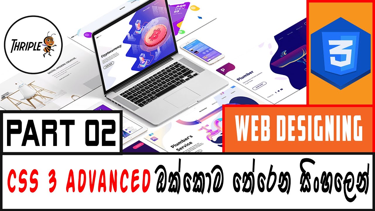 HTML & CSS Web Designing 03 - CSS Advanced Complete Course - Sinhala
