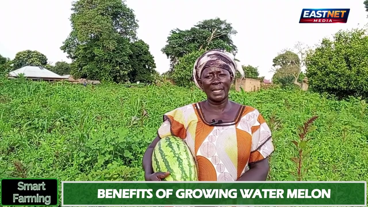 Watermelon farming changed Christine Imochu’s life from struggle to growth and stability.