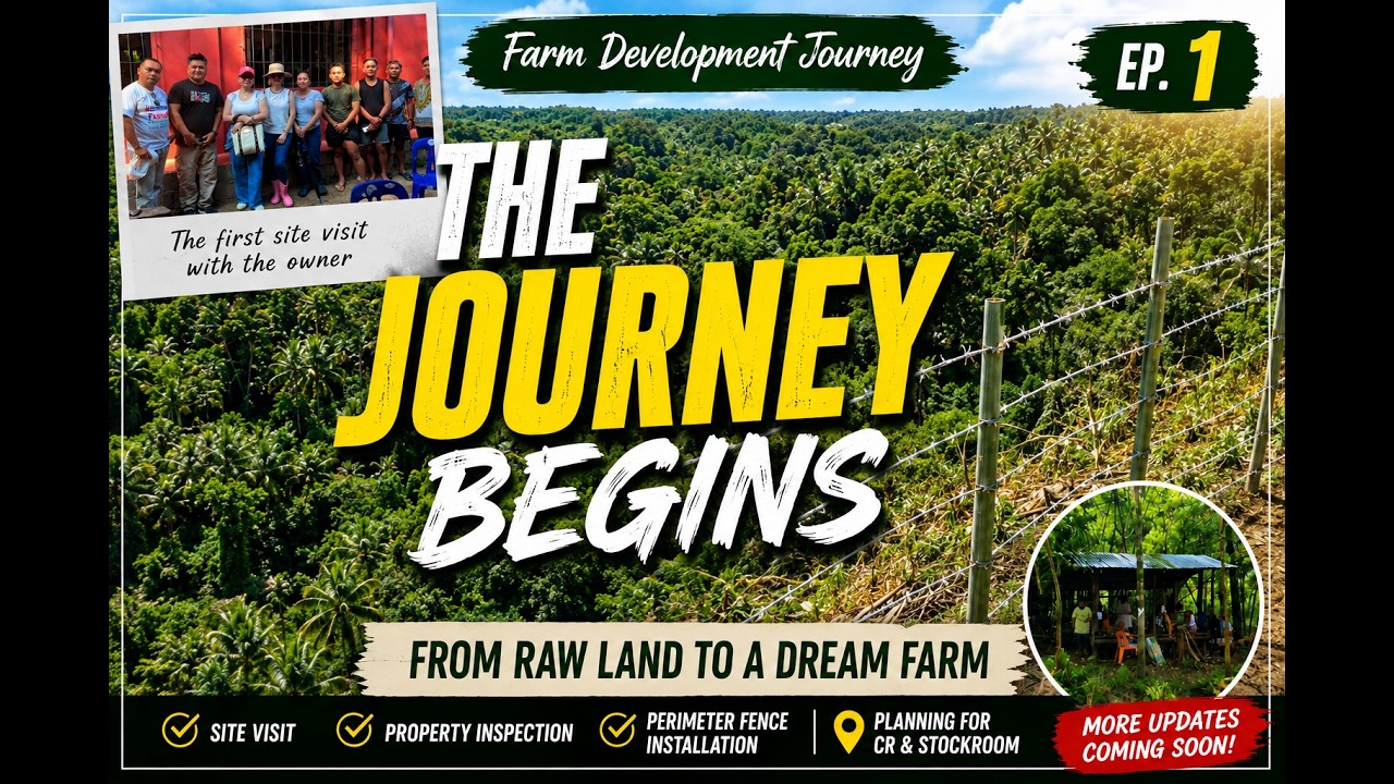 From Raw Land to a Dream Farm | Farm Development Journey Ep. 1