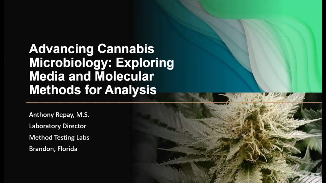 Cannabis Compliance: Culture vs. Molecular Microbiology
