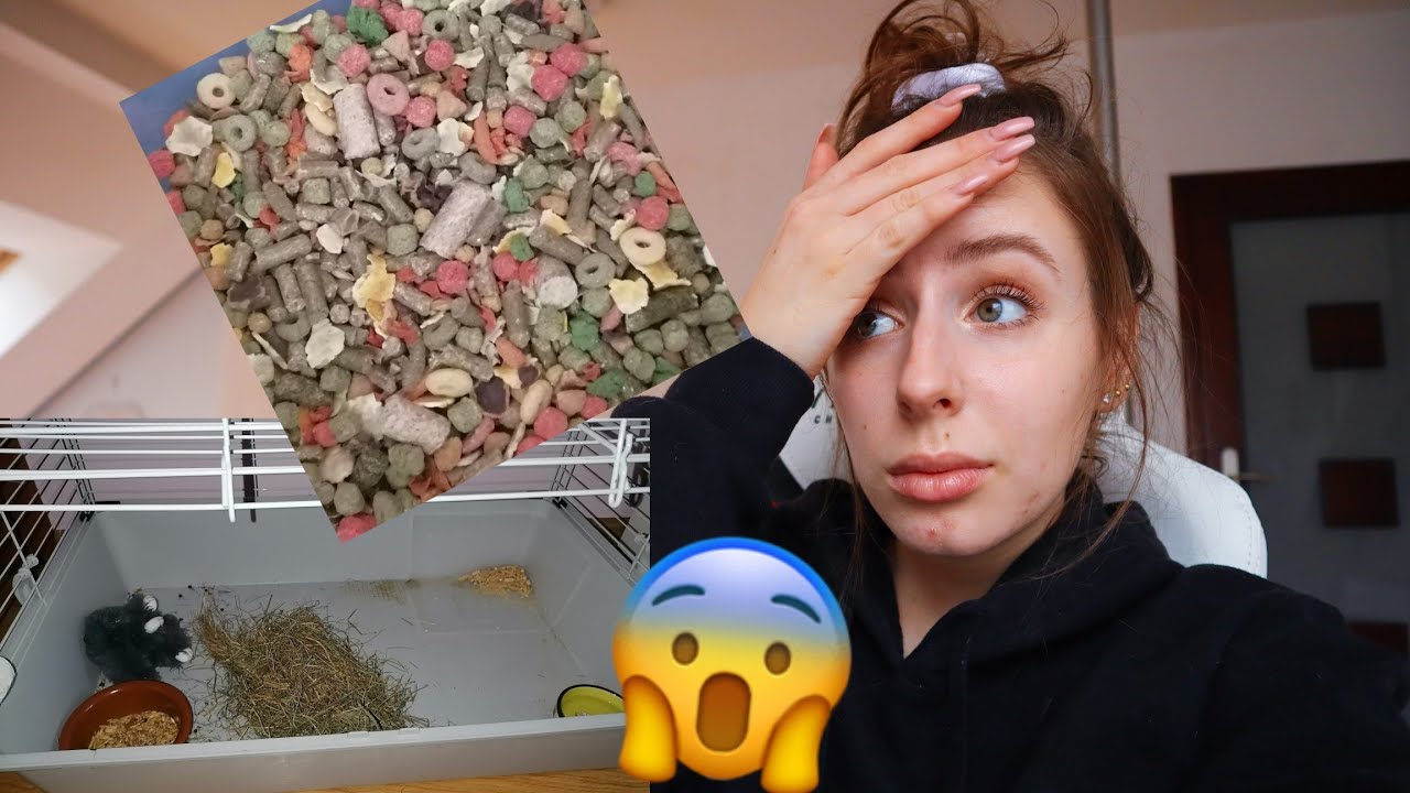 OCENIAM WARUNKI WASZYCH KRÓLIKÓW #1