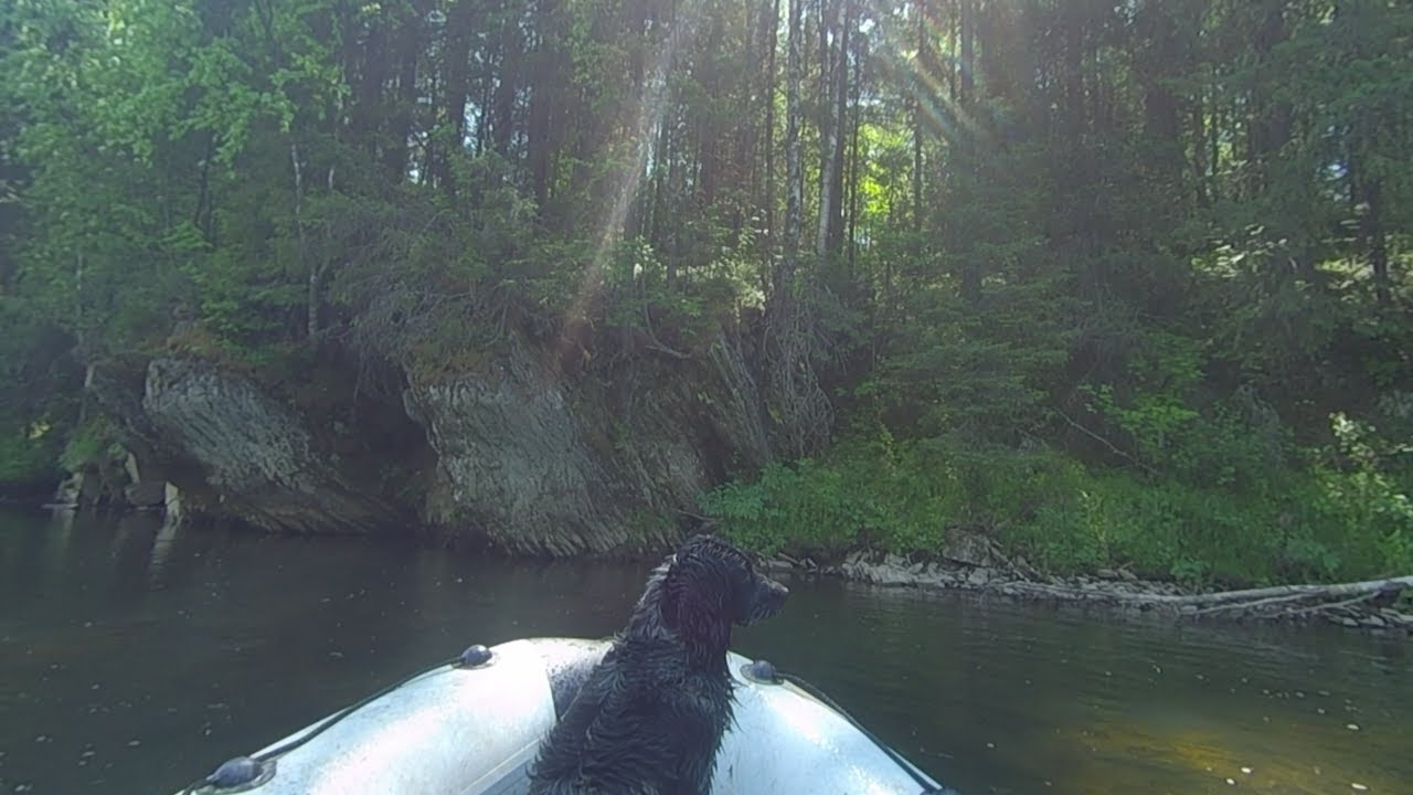 Не совсем одиночный сплав по реке Койва