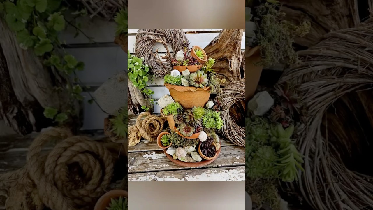 DIY: Hauswurz & alte T&ouml;pfe🌿 #diy #floral #garten #gartenideen #easydiy #garden #upcycling #deko