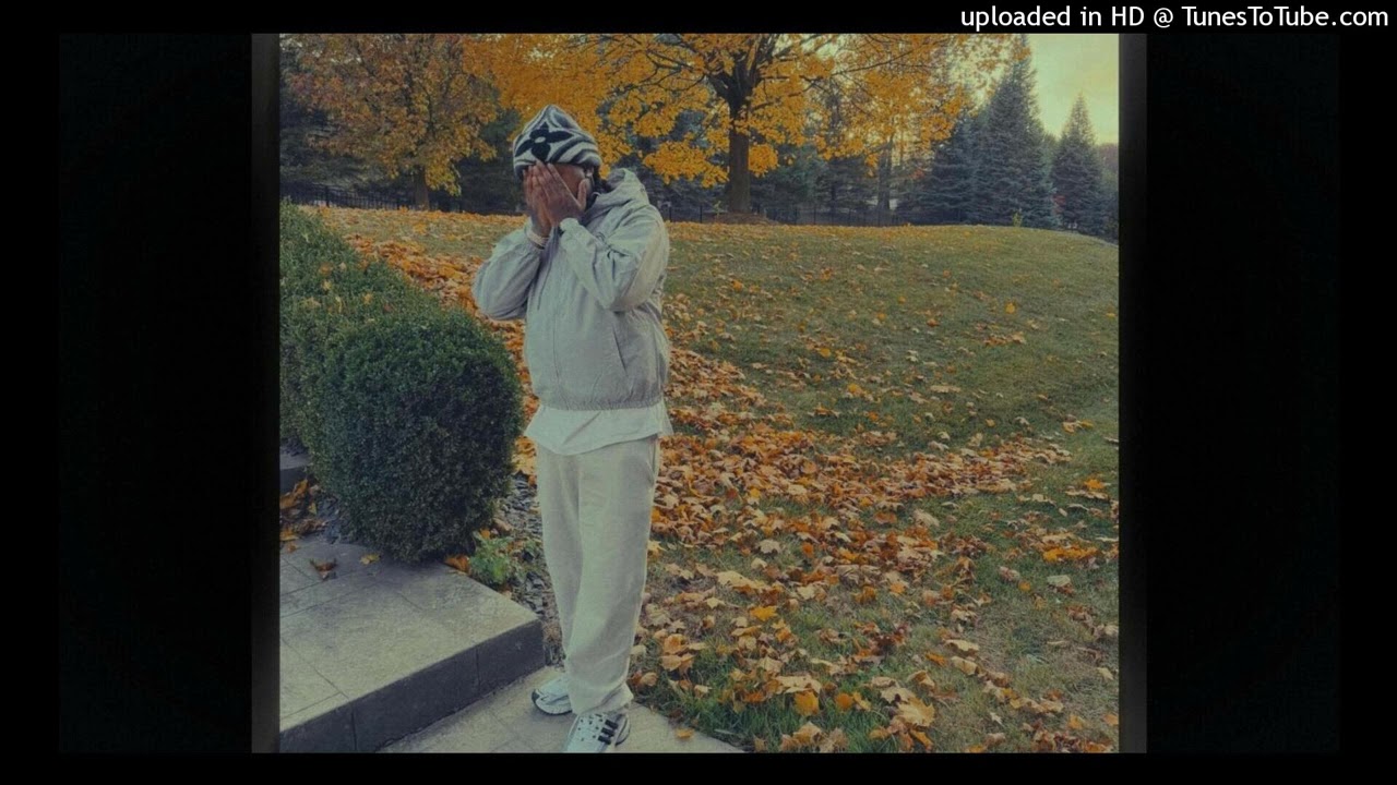 [FREE] Chicken P x Sample Type Beat 